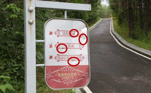 天府公园 幸福公园遭游客恶意破坏,市民 这种行为让人心寒